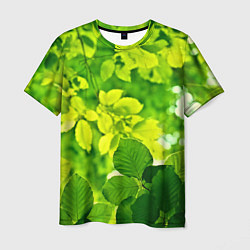 Мужская футболка Зелёные листья
