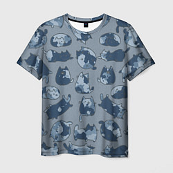 Мужская футболка Камуфляж с котиками серо-голубой