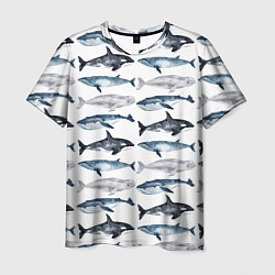 Мужская футболка Принт с китами