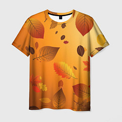 Мужская футболка Осенний тёплый ветер