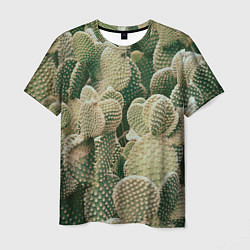 Мужская футболка Поле кактусов