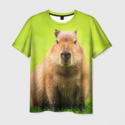 Футболка мужская Capybara on green grass, цвет: 3D-принт
