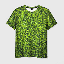 Мужская футболка Зелёная трава листья