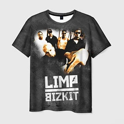 Футболка мужская Limp Bizkit: Rock in to you, цвет: 3D-принт