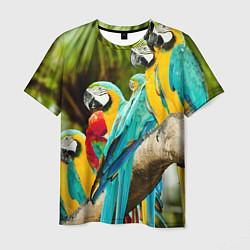 Футболка мужская Попугаи на ветке, цвет: 3D-принт