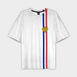 Футболка оверсайз мужская Франция: лента с гербом, цвет: 3D-принт
