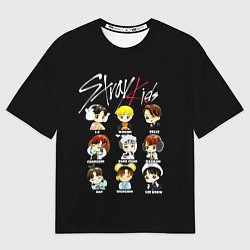 Мужская футболка оверсайз Stray Kids