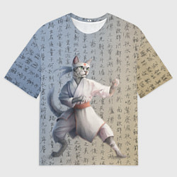 Мужская футболка оверсайз Karate cat