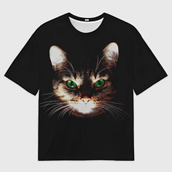 Мужская футболка оверсайз Зеленоглазый кот