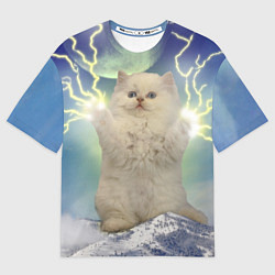 Мужская футболка оверсайз Грозовой Котик