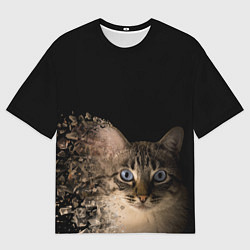 Мужская футболка оверсайз Disintegrating Cat