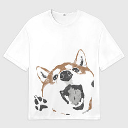 Футболка оверсайз мужская Shiba Inu, цвет: 3D-принт