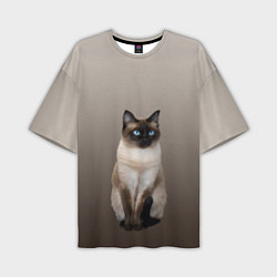 Мужская футболка оверсайз Сиамский кот голубые глаза
