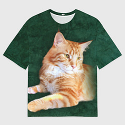 Футболка оверсайз мужская Мейн кун рыжий кот, цвет: 3D-принт