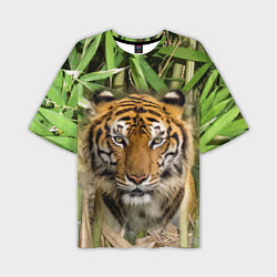 Мужская футболка оверсайз Матёрый тигр в зарослях бамбука
