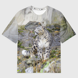 Футболка оверсайз мужская Снежный барс среди скал, цвет: 3D-принт