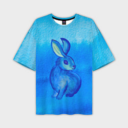 Футболка оверсайз мужская Водяной кролик символ 2023, цвет: 3D-принт
