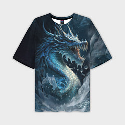 Мужская футболка оверсайз Ледяной дракон