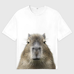 Мужская футболка оверсайз Капибара пофигист