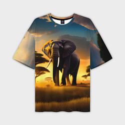 Мужская футболка оверсайз Слон и рассвет в саванне