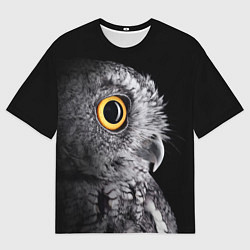 Футболка оверсайз мужская Сова - всевидящее око - big picture, цвет: 3D-принт