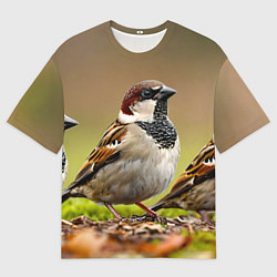 Мужская футболка оверсайз Воробей