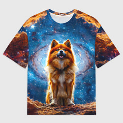 Футболка оверсайз мужская Финский лаппхунд в космосе, цвет: 3D-принт