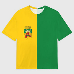 Мужская футболка оверсайз Новокузнецк, зелёно-жёлтый, герб и надпись на спин