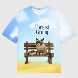Футболка оверсайз мужская Пародия Форрест Гамп - кот на скамейке, цвет: 3D-принт