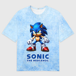 Мужская футболка оверсайз Sonic - синий ёж