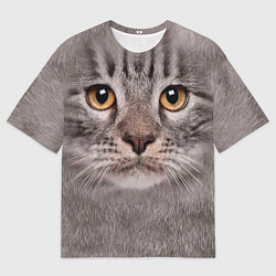 Футболка оверсайз мужская Котик, цвет: 3D-принт