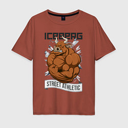 Мужская футболка оверсайз Iceberg: Street Athletic