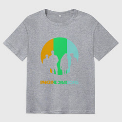 Футболка оверсайз мужская Imagine Dragons: Evolve, цвет: меланж