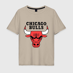 Мужская футболка оверсайз Chicago Bulls