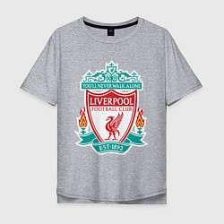 Футболка оверсайз мужская Liverpool FC, цвет: меланж