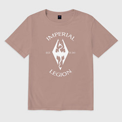 Футболка оверсайз мужская TES: Imperial Legion, цвет: пыльно-розовый