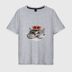 Мужская футболка оверсайз Pretty kitten