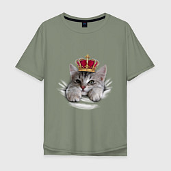 Мужская футболка оверсайз Pretty kitten