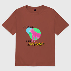 Футболка оверсайз мужская Привет я из internet, цвет: кирпичный