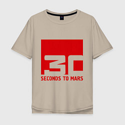 Мужская футболка оверсайз 30 seconds to mars