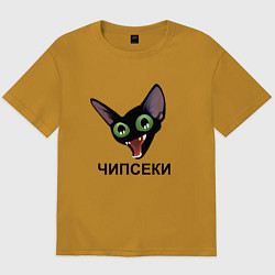 Мужская футболка оверсайз Чипсеки: кот-мем
