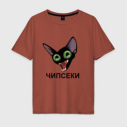 Мужская футболка оверсайз Чипсеки: кот-мем