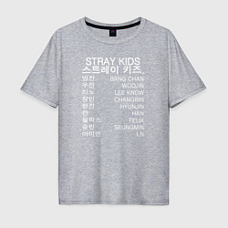 Мужская футболка оверсайз Stray Kids
