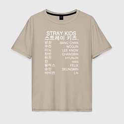 Мужская футболка оверсайз Stray Kids