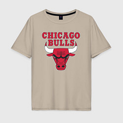 Мужская футболка оверсайз CHICAGO BULLS