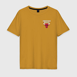 Футболка оверсайз мужская CHICAGO BULLS, цвет: горчичный