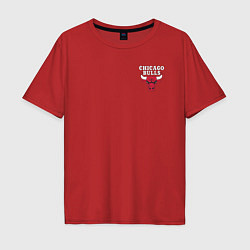 Мужская футболка оверсайз CHICAGO BULLS