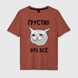 Мужская футболка оверсайз Грустный котик