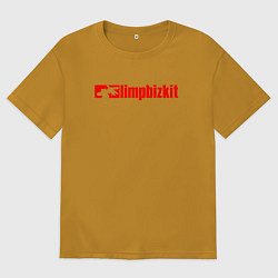 Мужская футболка оверсайз LIMP BIZKIT