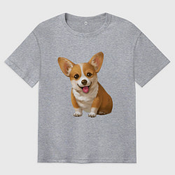 Футболка оверсайз мужская Корги, цвет: меланж